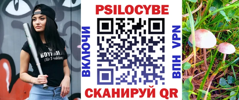 Купить  Великий Устюг  Псилоцибиновые грибы Cubensis 